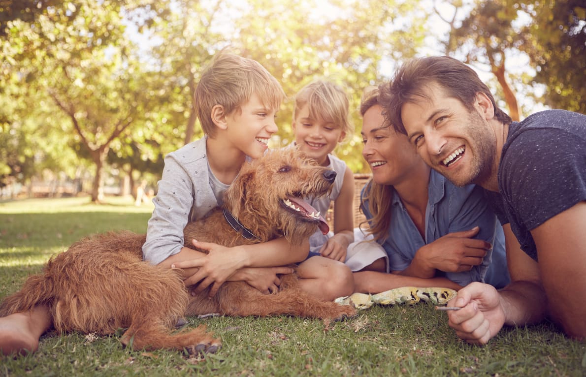 Should You Consider a Personal Loan to Pay Off Debt?